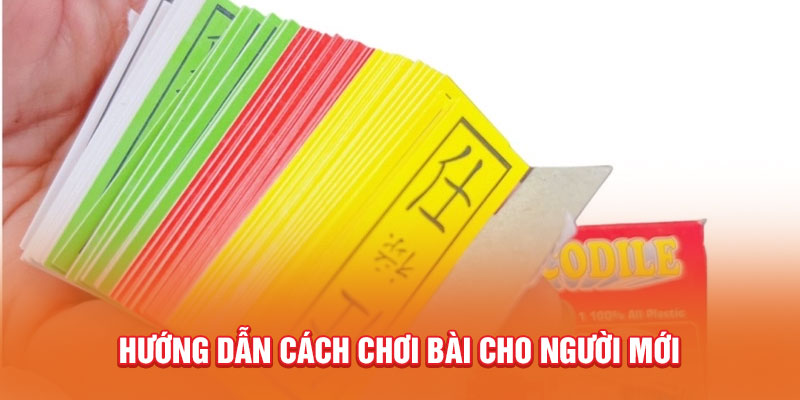 Hướng dẫn cách chơi bài cho người mới