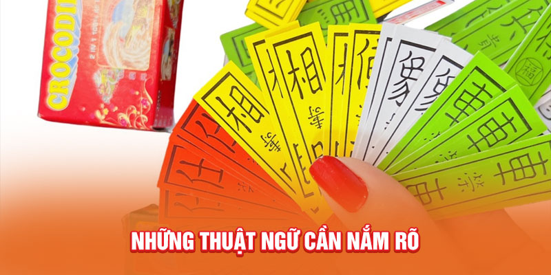 Những thuật ngữ cần nắm rõ