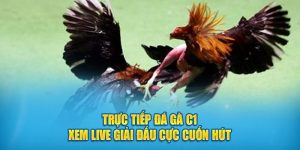 truc-tiep-da-ga-c1-xem-live-giai-dau-cuc-cuon-hut